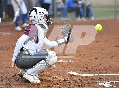 Thumbnail 1 in Snook vs Iola photogallery.