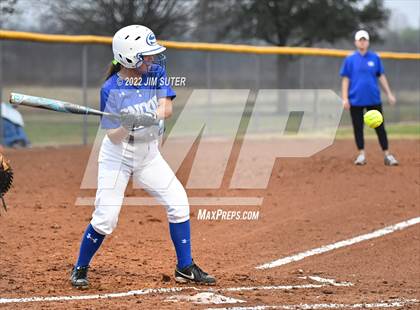 Thumbnail 1 in Snook vs Iola photogallery.