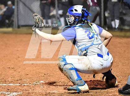 Thumbnail 3 in Snook vs Iola photogallery.