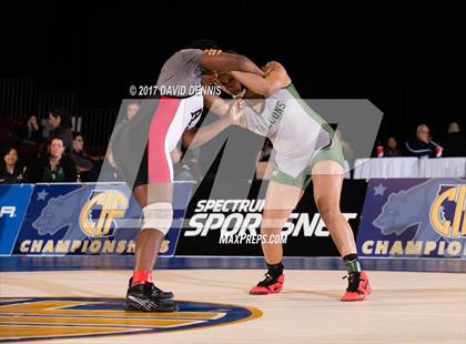 Thumbnail 1 in CIF State Girls Wrestling Championships (Finals) photogallery.