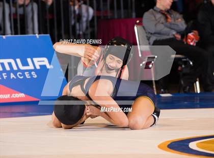Thumbnail 1 in CIF State Girls Wrestling Championships (Finals) photogallery.