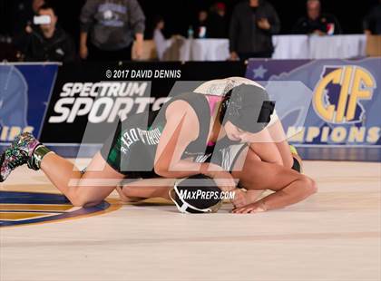 Thumbnail 2 in CIF State Girls Wrestling Championships (Finals) photogallery.