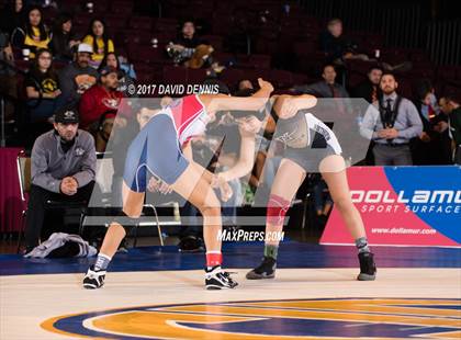 Thumbnail 1 in CIF State Girls Wrestling Championships (Finals) photogallery.