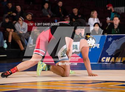 Thumbnail 2 in CIF State Girls Wrestling Championships (Finals) photogallery.