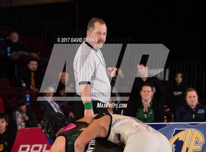 Thumbnail 3 in CIF State Girls Wrestling Championships (Finals) photogallery.