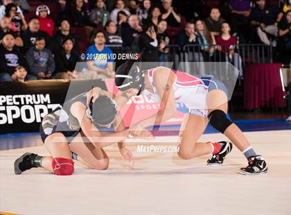 Thumbnail 2 in CIF State Girls Wrestling Championships (Finals) photogallery.