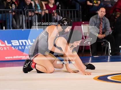 Thumbnail 3 in CIF State Girls Wrestling Championships (Finals) photogallery.