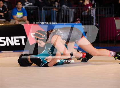 Thumbnail 3 in CIF State Girls Wrestling Championships (Finals) photogallery.