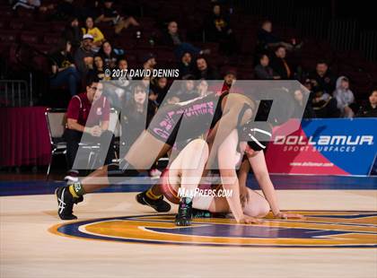 Thumbnail 1 in CIF State Girls Wrestling Championships (Finals) photogallery.