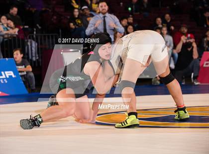 Thumbnail 3 in CIF State Girls Wrestling Championships (Finals) photogallery.