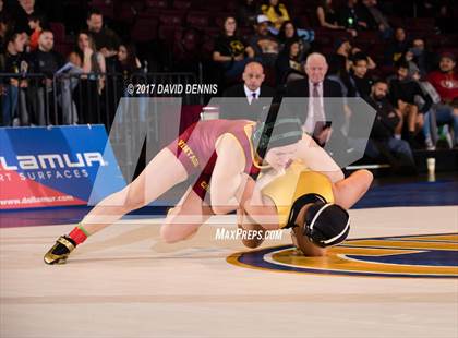 Thumbnail 2 in CIF State Girls Wrestling Championships (Finals) photogallery.