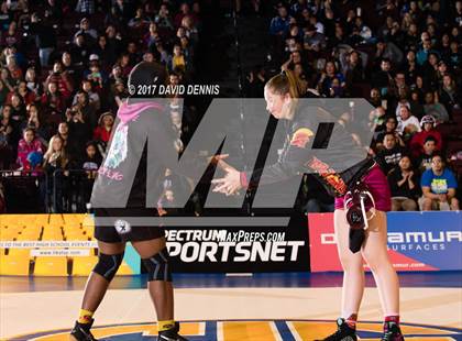 Thumbnail 3 in CIF State Girls Wrestling Championships (Finals) photogallery.