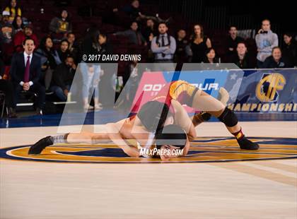 Thumbnail 2 in CIF State Girls Wrestling Championships (Finals) photogallery.