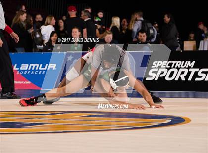 Thumbnail 3 in CIF State Girls Wrestling Championships (Finals) photogallery.