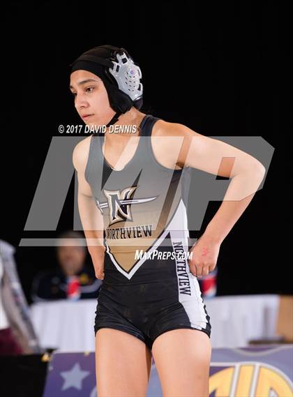 Thumbnail 3 in CIF State Girls Wrestling Championships (Finals) photogallery.