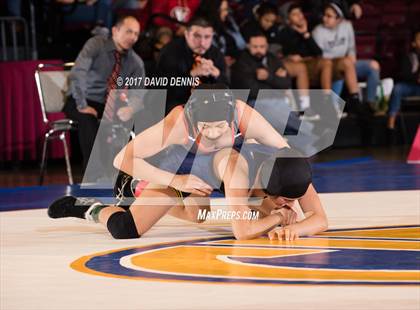 Thumbnail 1 in CIF State Girls Wrestling Championships (Finals) photogallery.