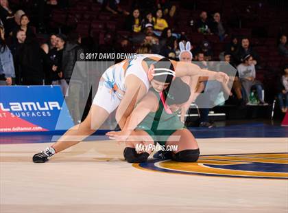 Thumbnail 3 in CIF State Girls Wrestling Championships (Finals) photogallery.