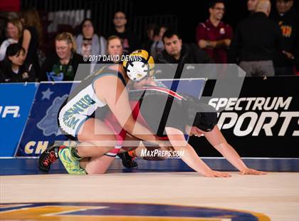 Thumbnail 3 in CIF State Girls Wrestling Championships (Finals) photogallery.