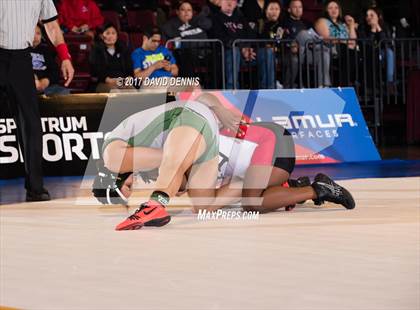 Thumbnail 1 in CIF State Girls Wrestling Championships (Finals) photogallery.