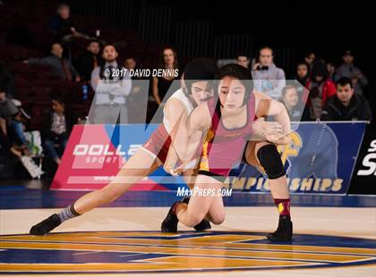 Thumbnail 1 in CIF State Girls Wrestling Championships (Finals) photogallery.