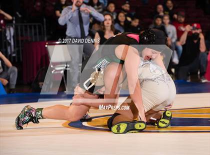 Thumbnail 1 in CIF State Girls Wrestling Championships (Finals) photogallery.