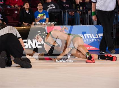 Thumbnail 2 in CIF State Girls Wrestling Championships (Finals) photogallery.