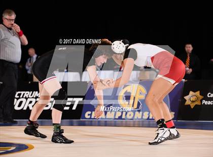 Thumbnail 3 in CIF State Girls Wrestling Championships (Finals) photogallery.