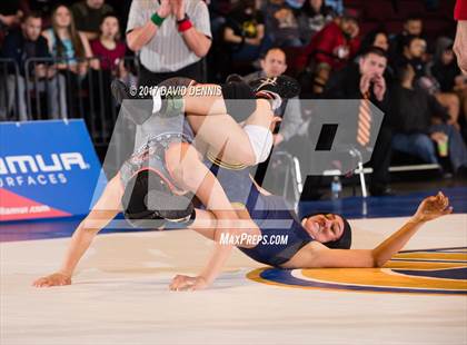 Thumbnail 1 in CIF State Girls Wrestling Championships (Finals) photogallery.