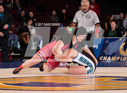 Thumbnail 1 in CIF State Girls Wrestling Championships (Finals) photogallery.