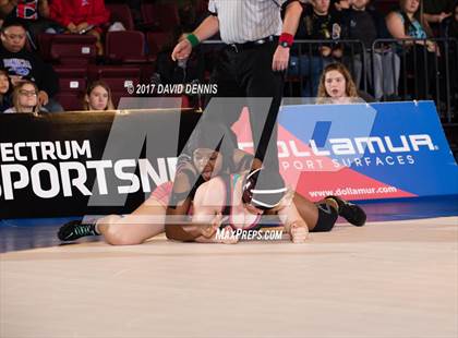 Thumbnail 3 in CIF State Girls Wrestling Championships (Finals) photogallery.