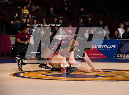 Thumbnail 3 in CIF State Girls Wrestling Championships (Finals) photogallery.