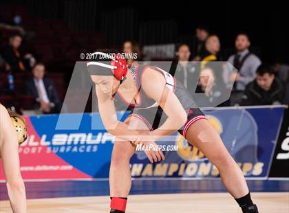 Thumbnail 2 in CIF State Girls Wrestling Championships (Finals) photogallery.
