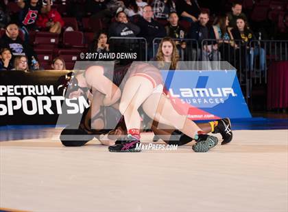 Thumbnail 2 in CIF State Girls Wrestling Championships (Finals) photogallery.