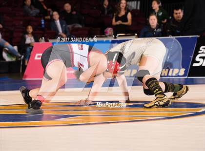 Thumbnail 2 in CIF State Girls Wrestling Championships (Finals) photogallery.