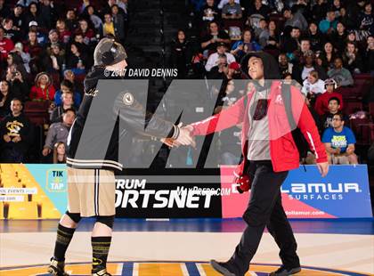 Thumbnail 1 in CIF State Girls Wrestling Championships (Finals) photogallery.