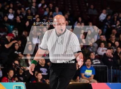 Thumbnail 2 in CIF State Girls Wrestling Championships (Finals) photogallery.