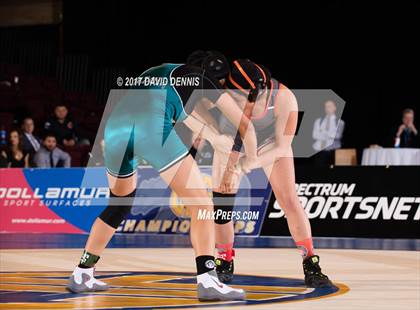 Thumbnail 3 in CIF State Girls Wrestling Championships (Finals) photogallery.