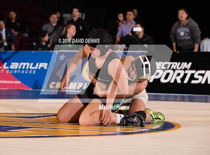 Thumbnail 3 in CIF State Girls Wrestling Championships (Finals) photogallery.