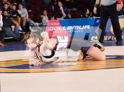 Thumbnail 3 in CIF State Girls Wrestling Championships (Finals) photogallery.
