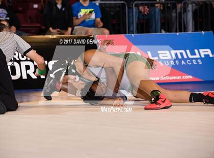 Thumbnail 3 in CIF State Girls Wrestling Championships (Finals) photogallery.