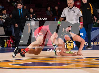 Thumbnail 2 in CIF State Girls Wrestling Championships (Finals) photogallery.