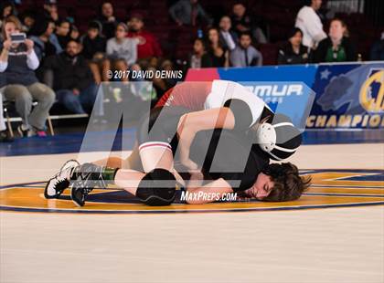 Thumbnail 3 in CIF State Girls Wrestling Championships (Finals) photogallery.