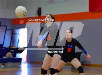 Thumbnail 2 in Maplesville @ Chilton County photogallery.