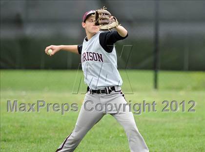 Thumbnail 1 in Harrison @ Fox Lane photogallery.