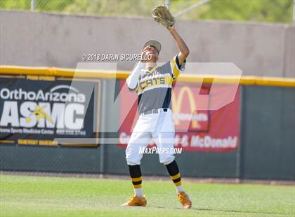 Thumbnail 3 in Coconino @ Saguaro photogallery.