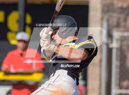 Thumbnail 1 in Coconino @ Saguaro photogallery.