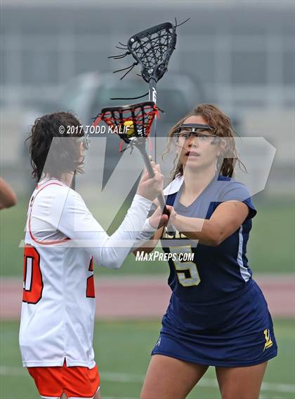 Thumbnail 2 in Ledyard @ Montville photogallery.