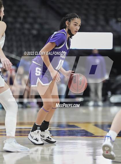 Thumbnail 3 in Denver South vs Dakota Ridge (Ball Arena) photogallery.