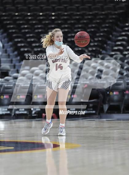 Thumbnail 3 in Denver South vs Dakota Ridge (Ball Arena) photogallery.