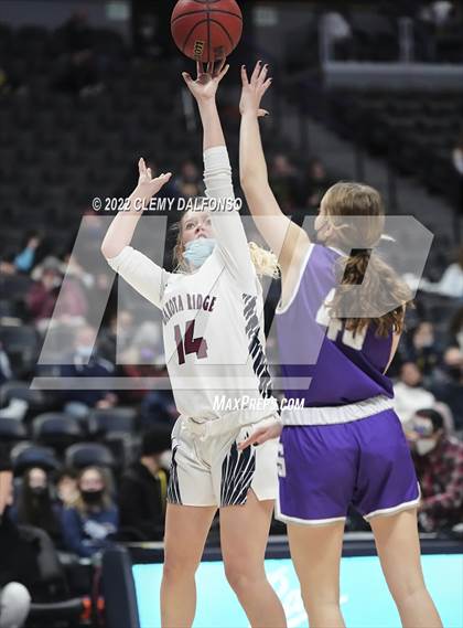 Thumbnail 3 in Denver South vs Dakota Ridge (Ball Arena) photogallery.